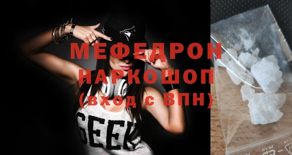 spice Инта